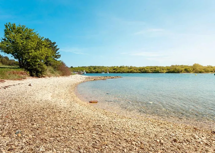 Mobile Homes With Pool In Tar - Porec-istrien 38572 Üdülőpark Poreč